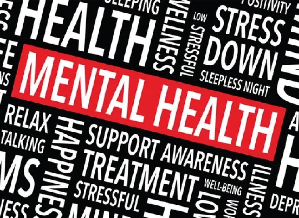 You Can't Fix Your Mental Health with Duct Tape: Why Burnout Mitigation, Mental Health Promotion and Suicide Prevention are Priorities in Safety-Critical Industries