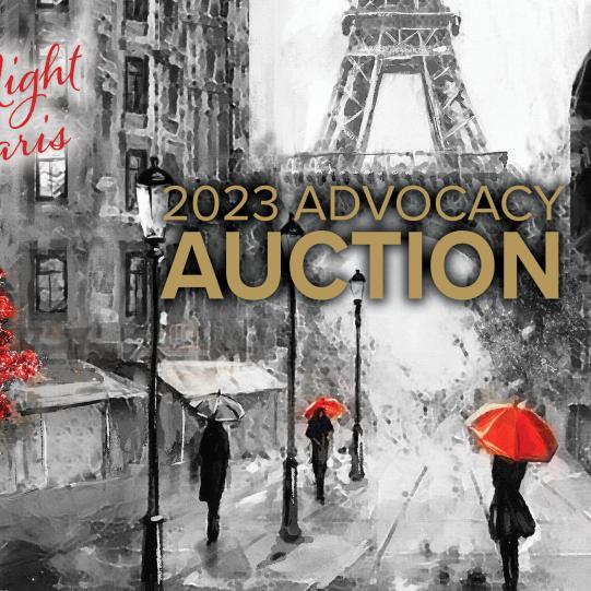 2023 Advocacy Auction